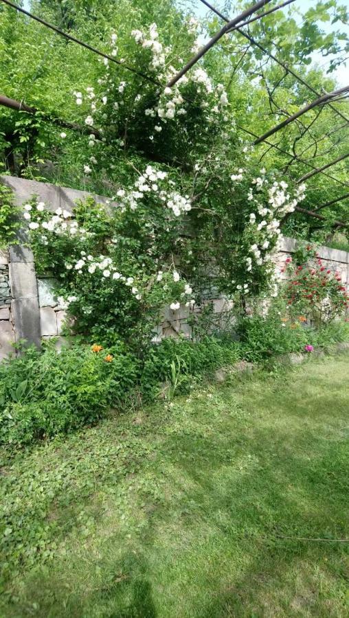 Luse Guest House Idschewan Exterior foto